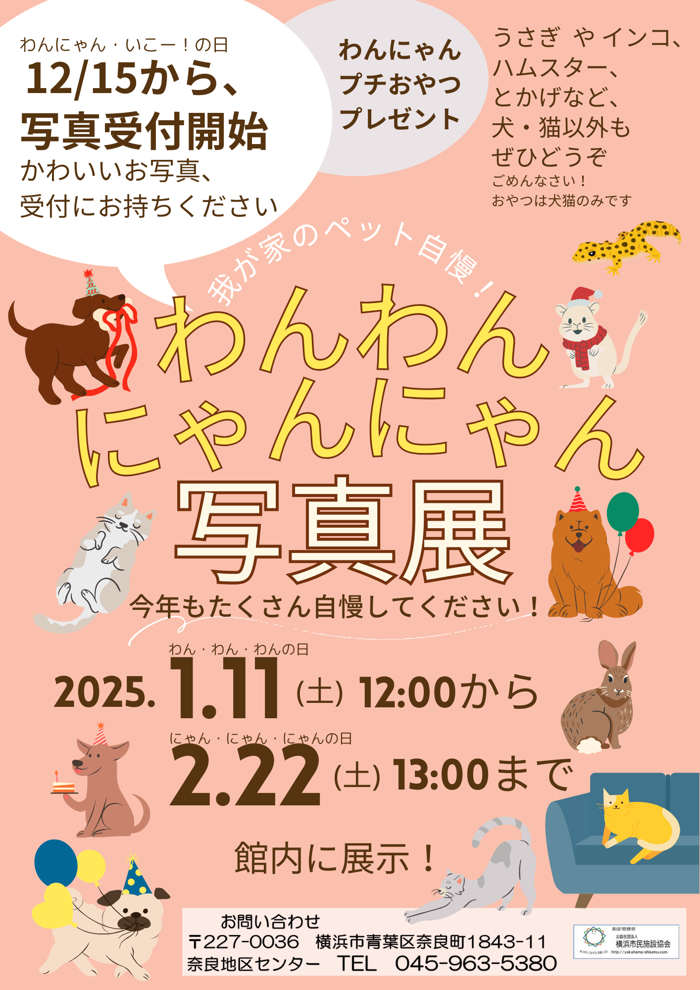 わんわん・にゃんにゃん写真展～我が家のペット自慢！～ 12/15から写真 